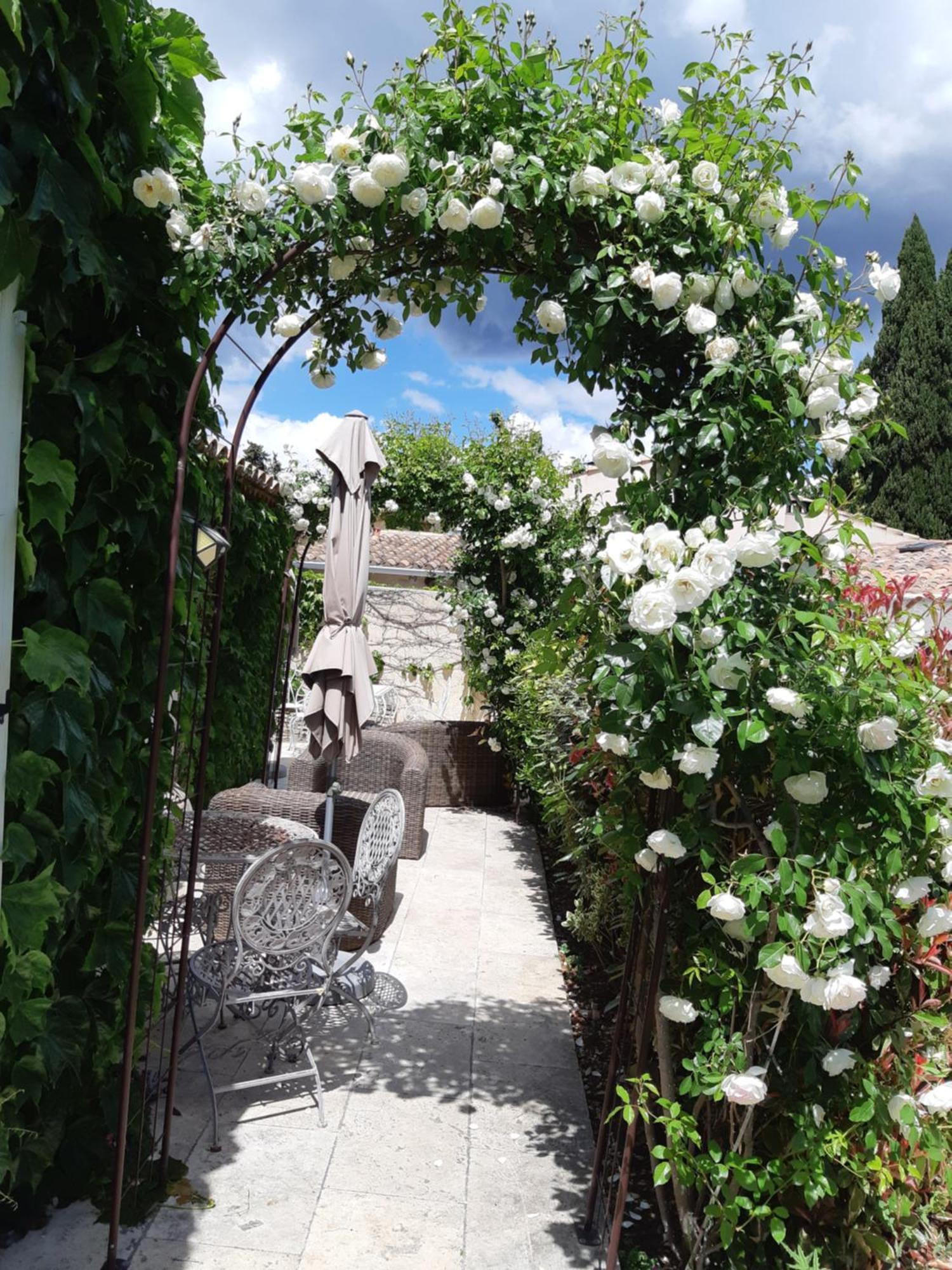 Le Chat Sur Le Toit Lourmarin Εξωτερικό φωτογραφία