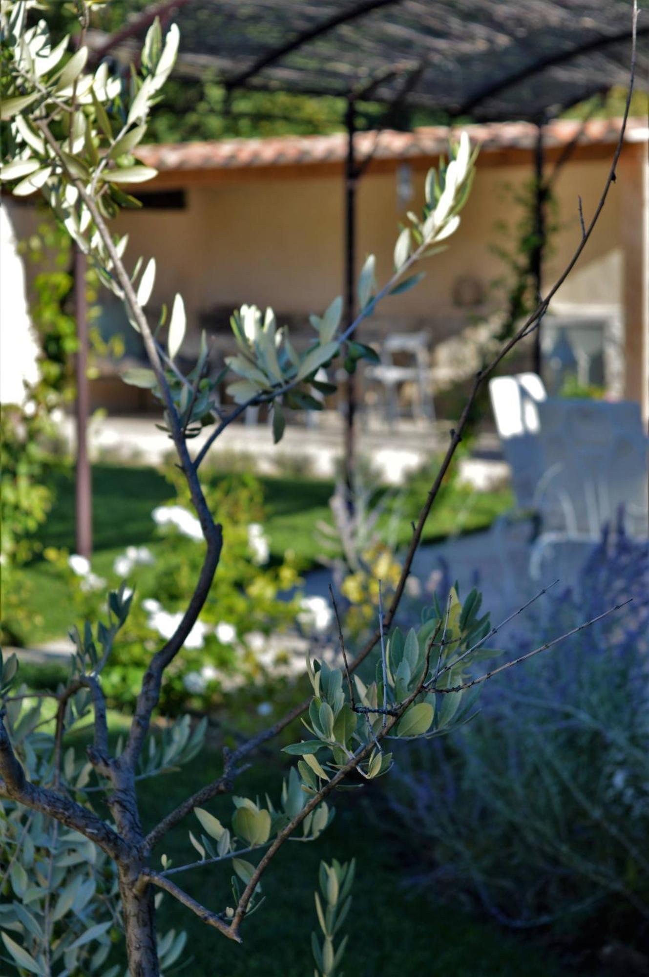 Le Chat Sur Le Toit Lourmarin Εξωτερικό φωτογραφία