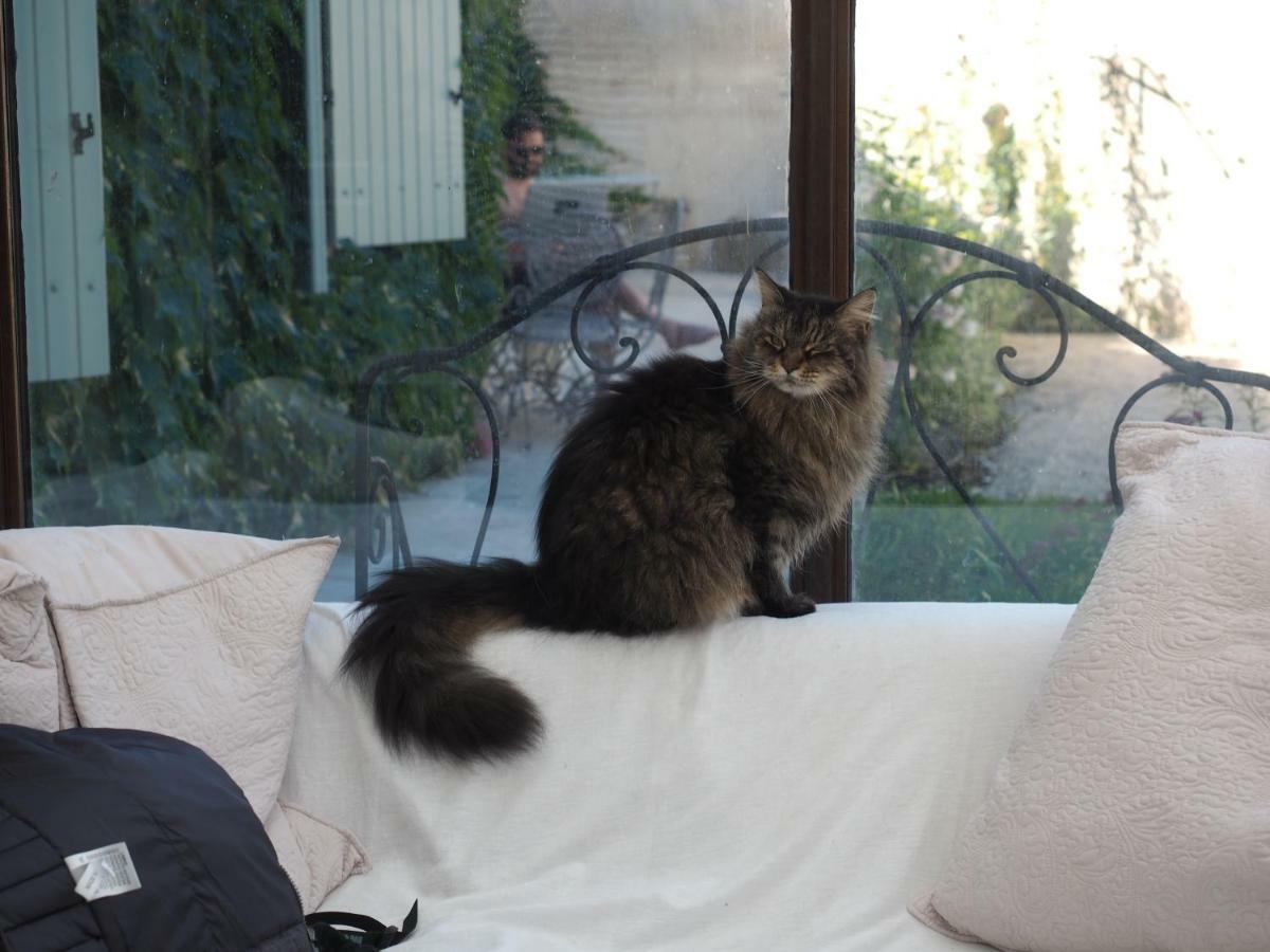 Le Chat Sur Le Toit Lourmarin Εξωτερικό φωτογραφία